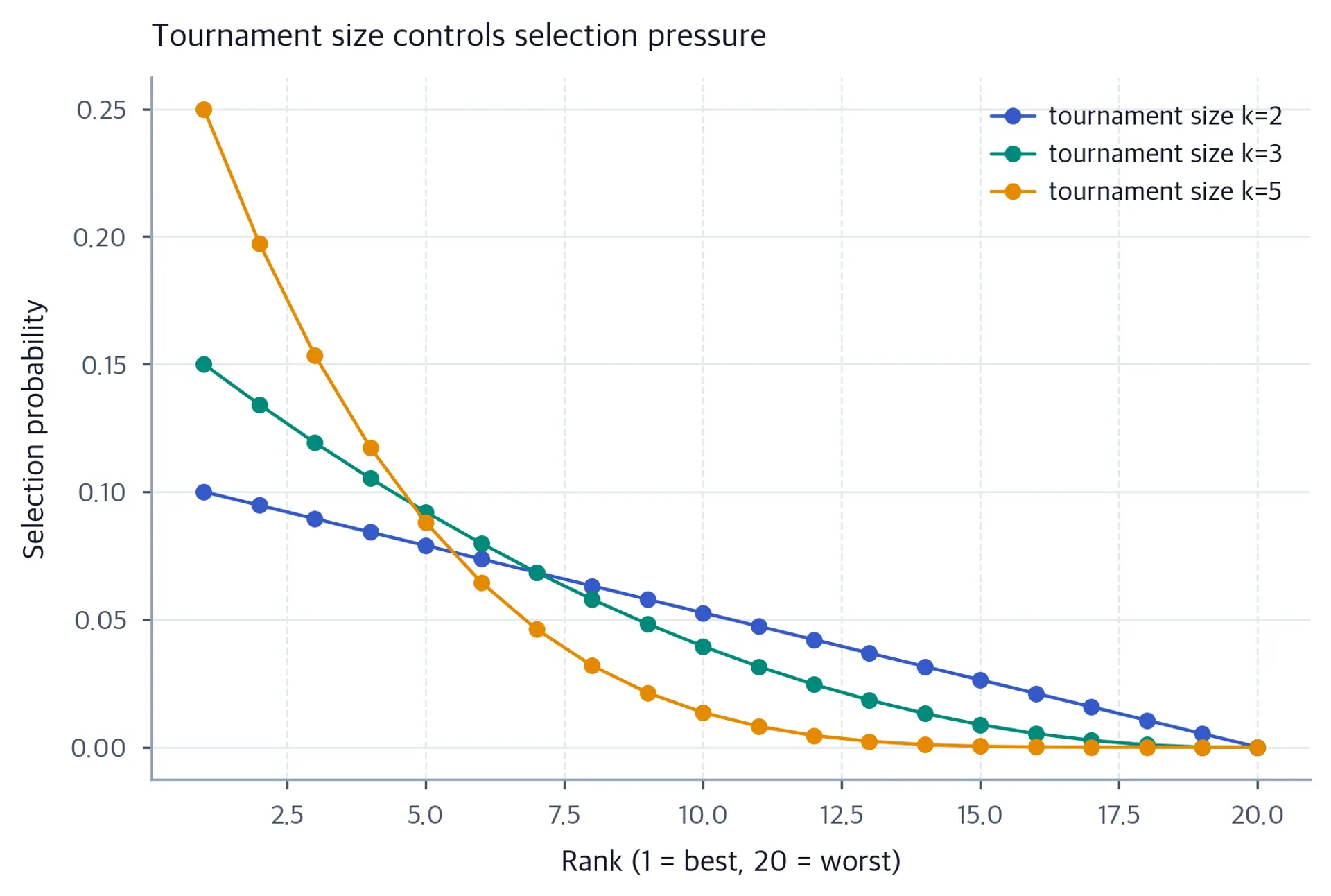 Line chart of tournament selection probability by rank for three tournament sizes.