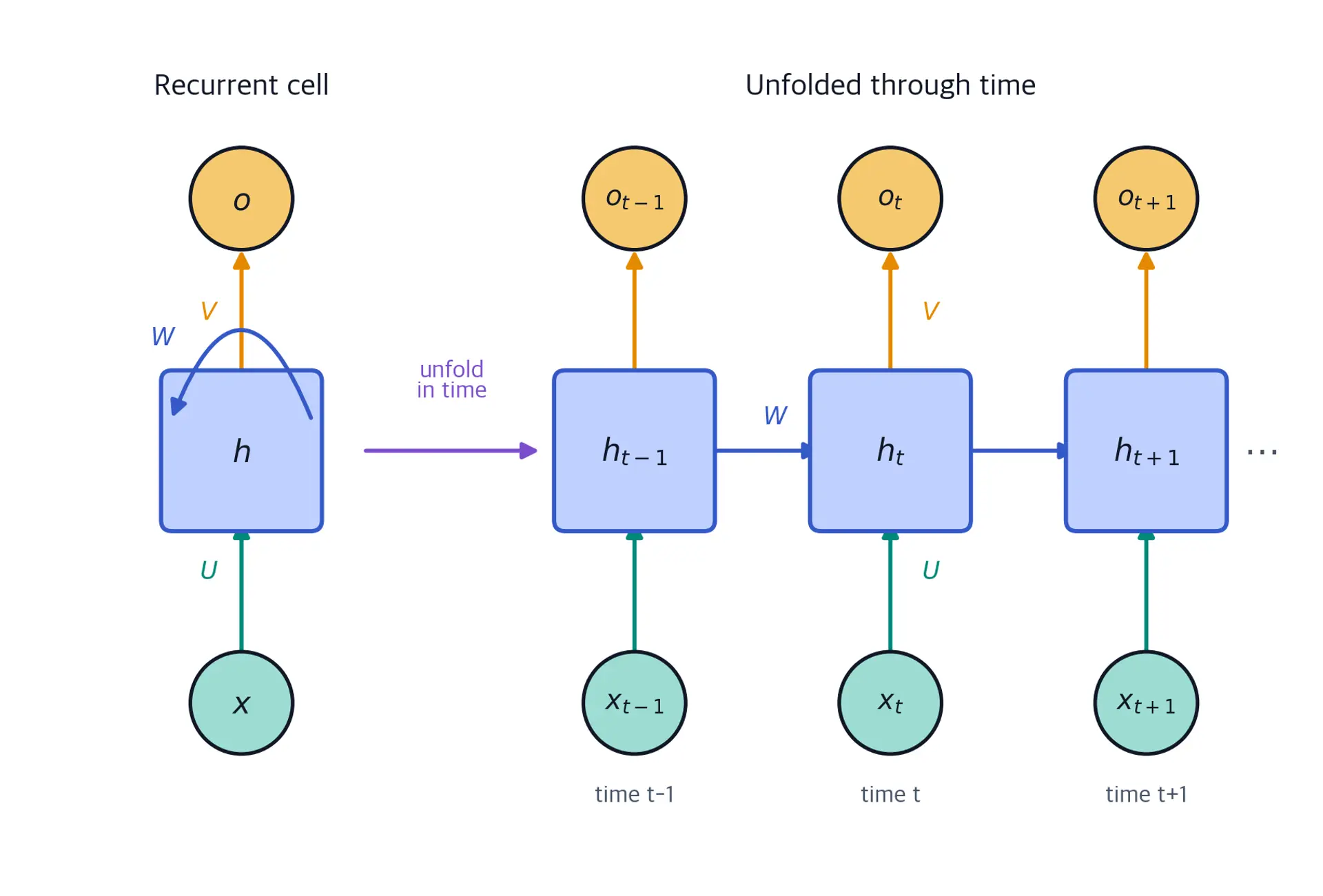 Diagram with a compact RNN cell on the left and its unfolded form on the right. Input x flows through transformation U into hidden state h, output o receives transformation V, and a directed loop labeled W carries the recurrent state. An arrow labeled unfold in time points to hidden-state cells h sub t minus 1, h sub t, and h sub t plus 1. Inputs and outputs connect vertically through U and V, horizontal W arrows carry hidden state forward, and ellipses indicate that the sequence continues.