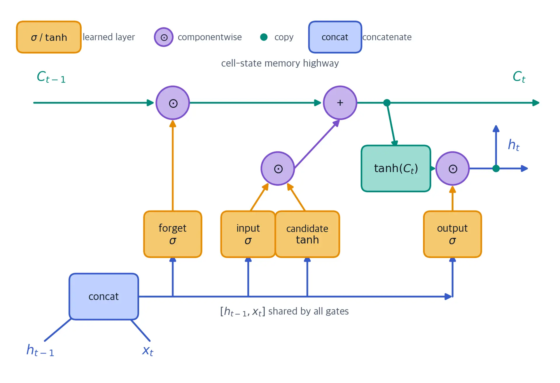 LSTM cell diagram. A teal cell-state highway runs from C sub t minus 1 through a forget multiplication and an addition to C sub t. The previous hidden state h sub t minus 1 and current input x sub t join at a concatenate node, then feed forget, input, candidate, and output layers. The input gate and candidate multiply before entering the cell-state addition. The updated cell state passes through tanh and multiplies with the output gate to produce h sub t.