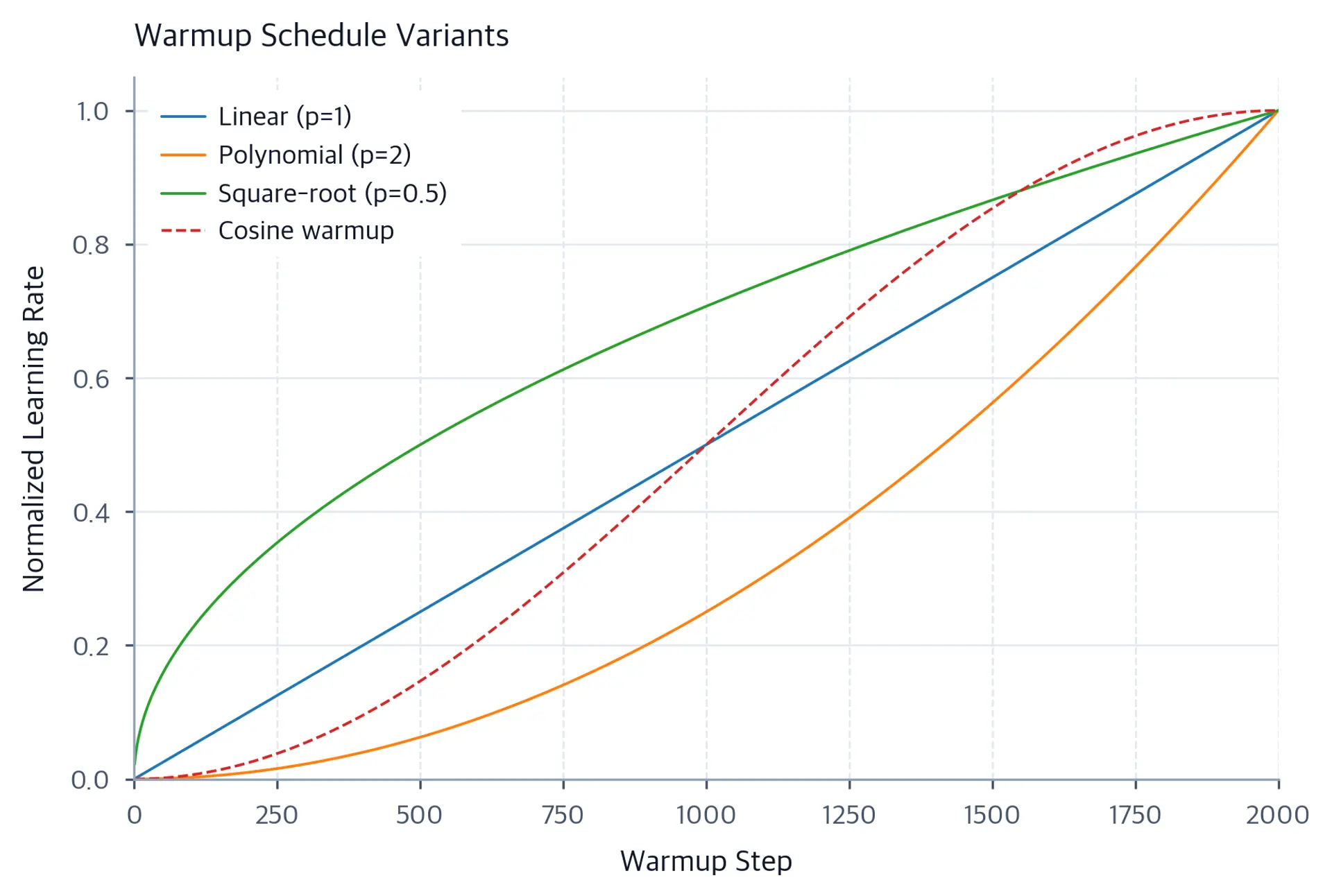 Line chart comparing four warmup variant shapes: linear, polynomial p=2, square-root, and cosine warmup.