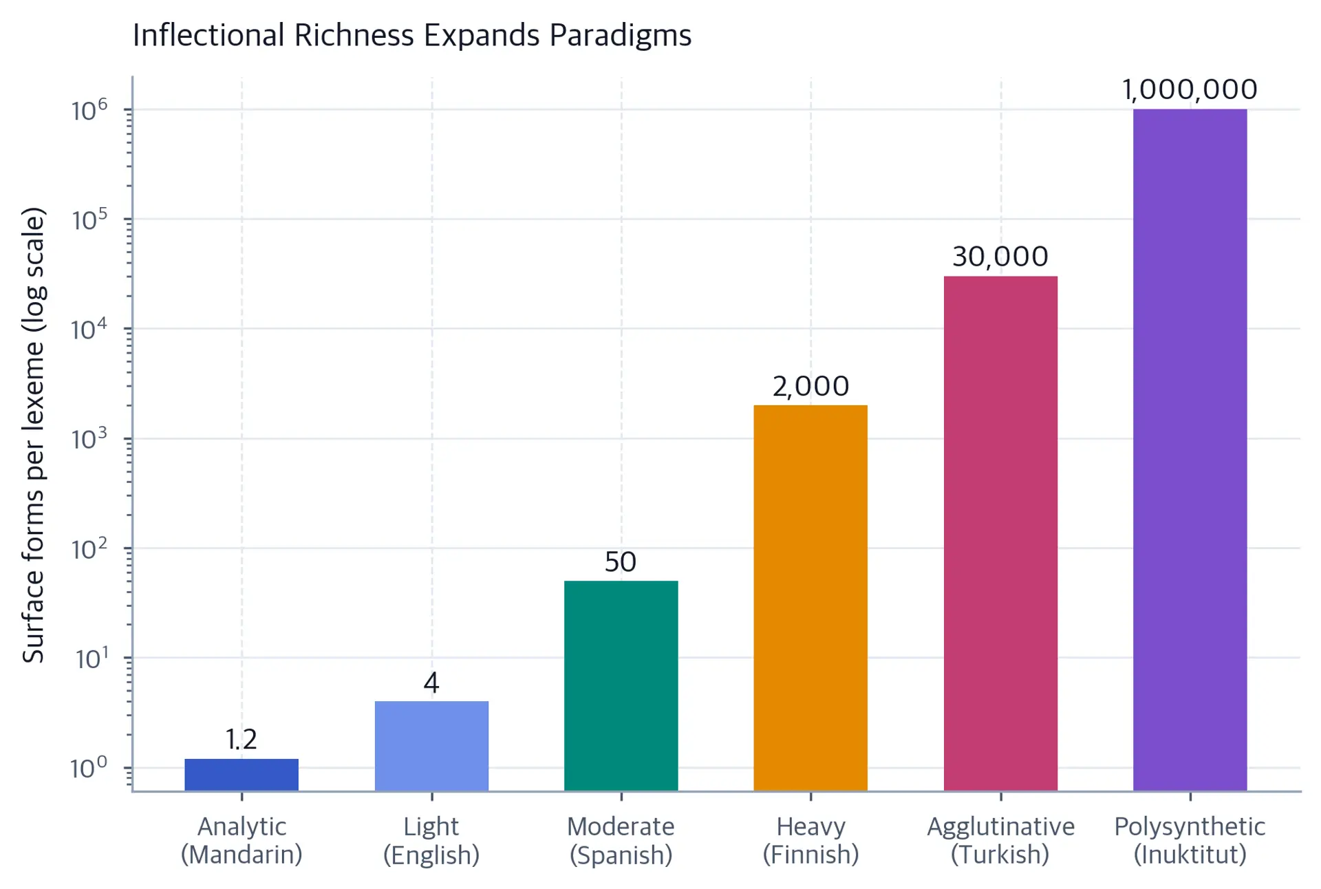 Bar chart on a log scale showing paradigm sizes growing from analytic through light, moderate, heavy, and agglutinative to polysynthetic languages.