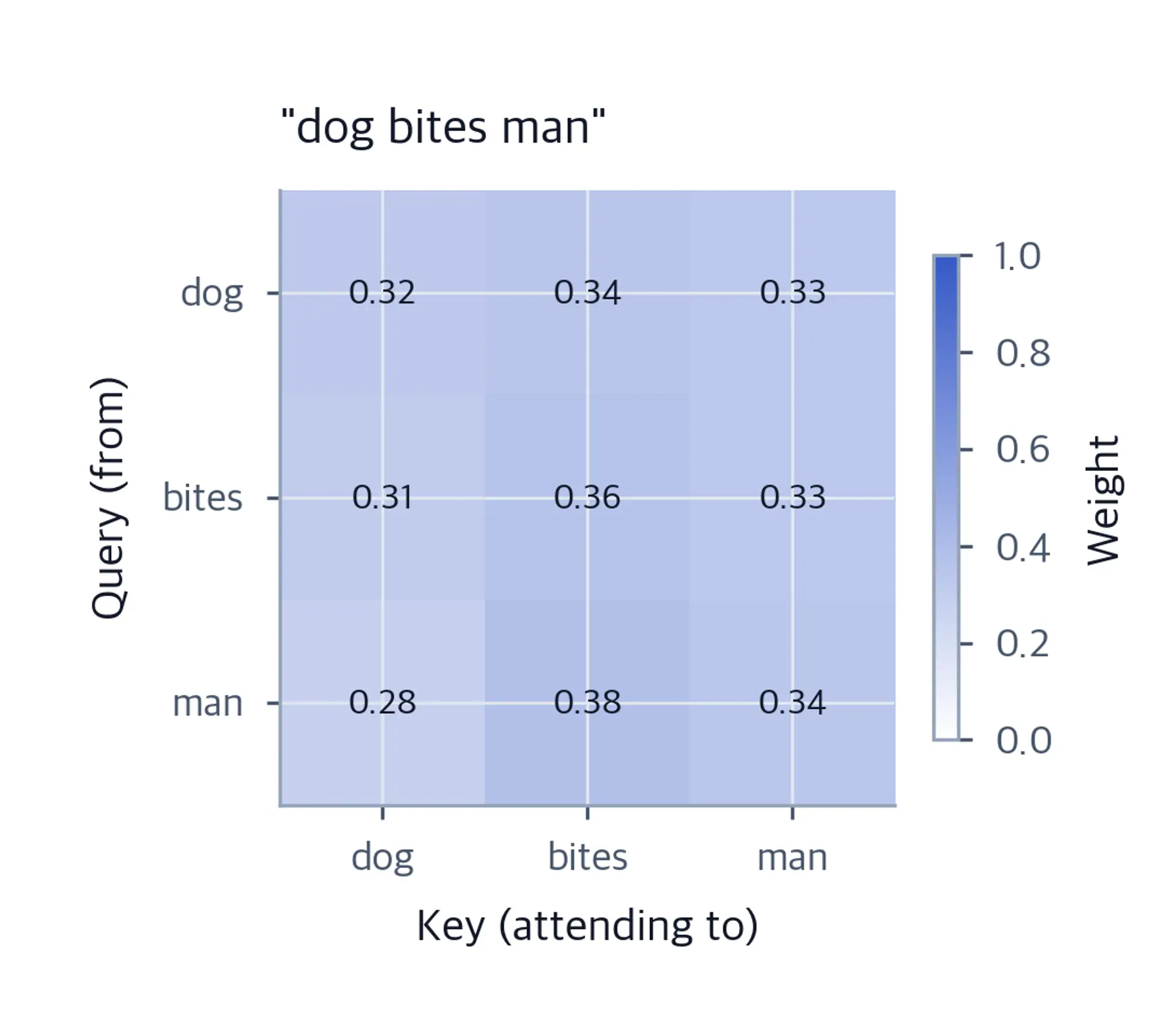 3x3 heatmap showing attention weights for dog bites man sentence.
