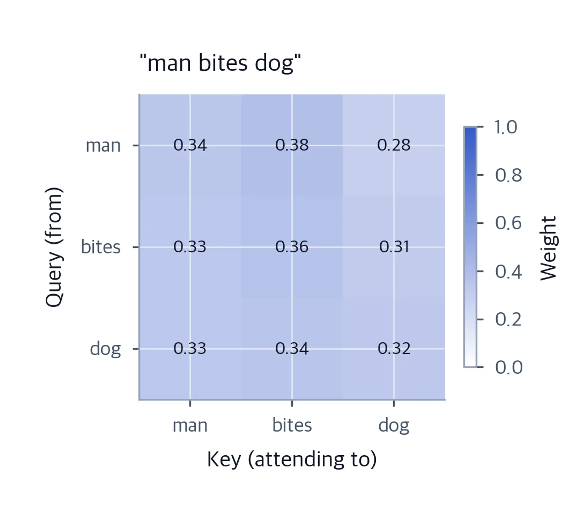 3x3 heatmap showing attention weights for man bites dog sentence.
