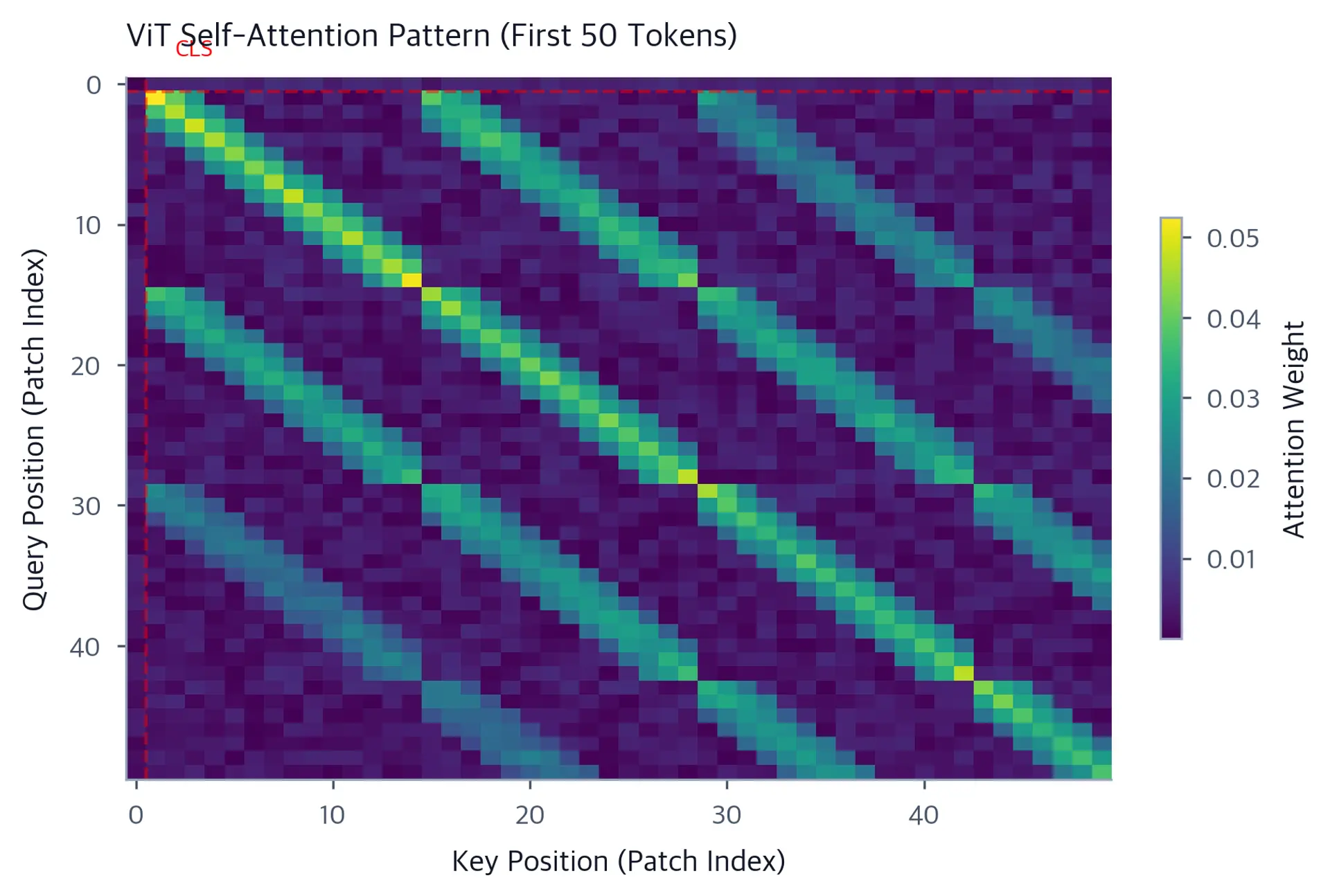 Attention weight heatmap for 50 tokens showing CLS token attending broadly and spatial patches concentrating on local neighbors.