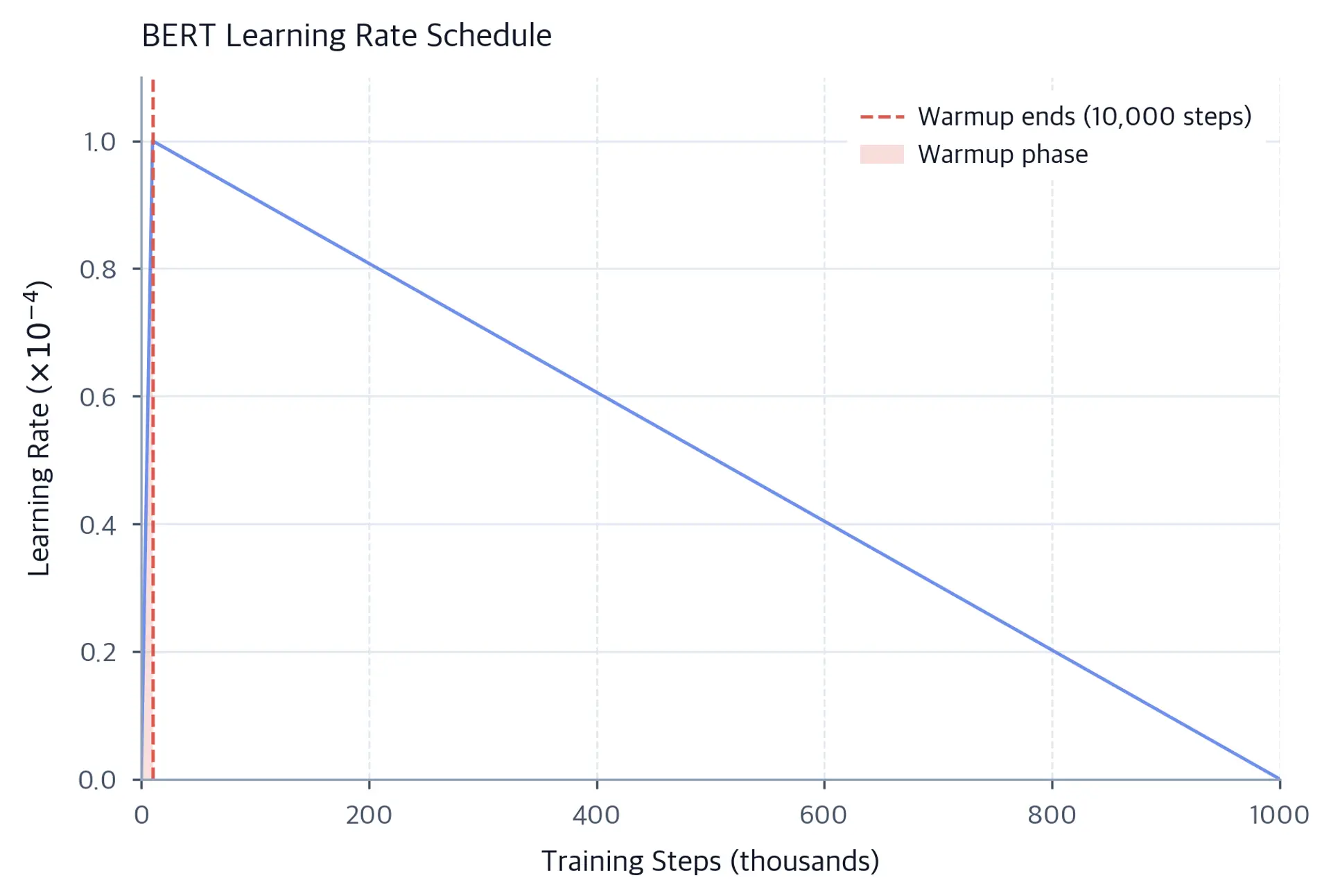 Line plot showing learning rate rising linearly during warmup then decaying linearly to zero.