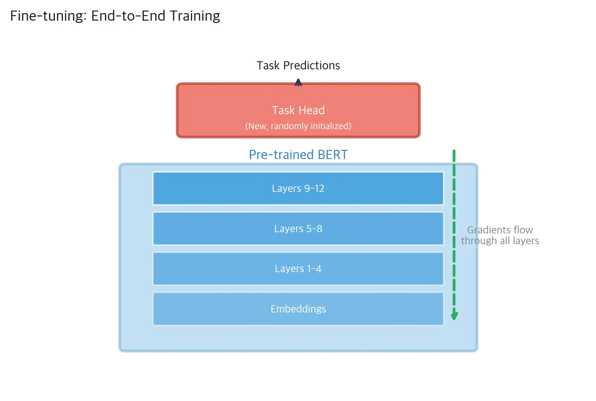Diagram showing BERT layers with a classification head on top, arrows indicating gradient flow through all layers during fine-tuning.
