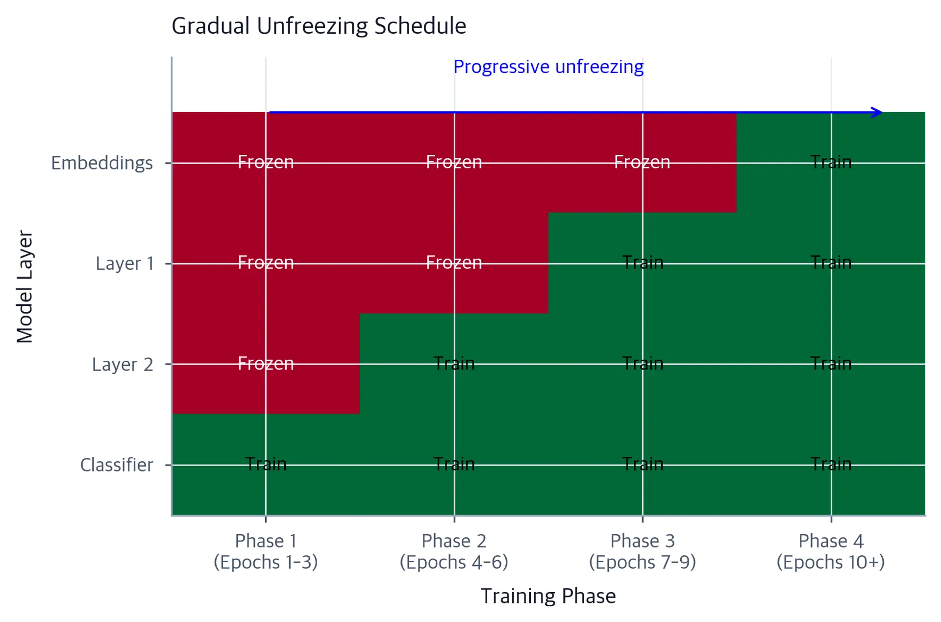 Timeline diagram showing progressive unfreezing of model layers during fine-tuning epochs.