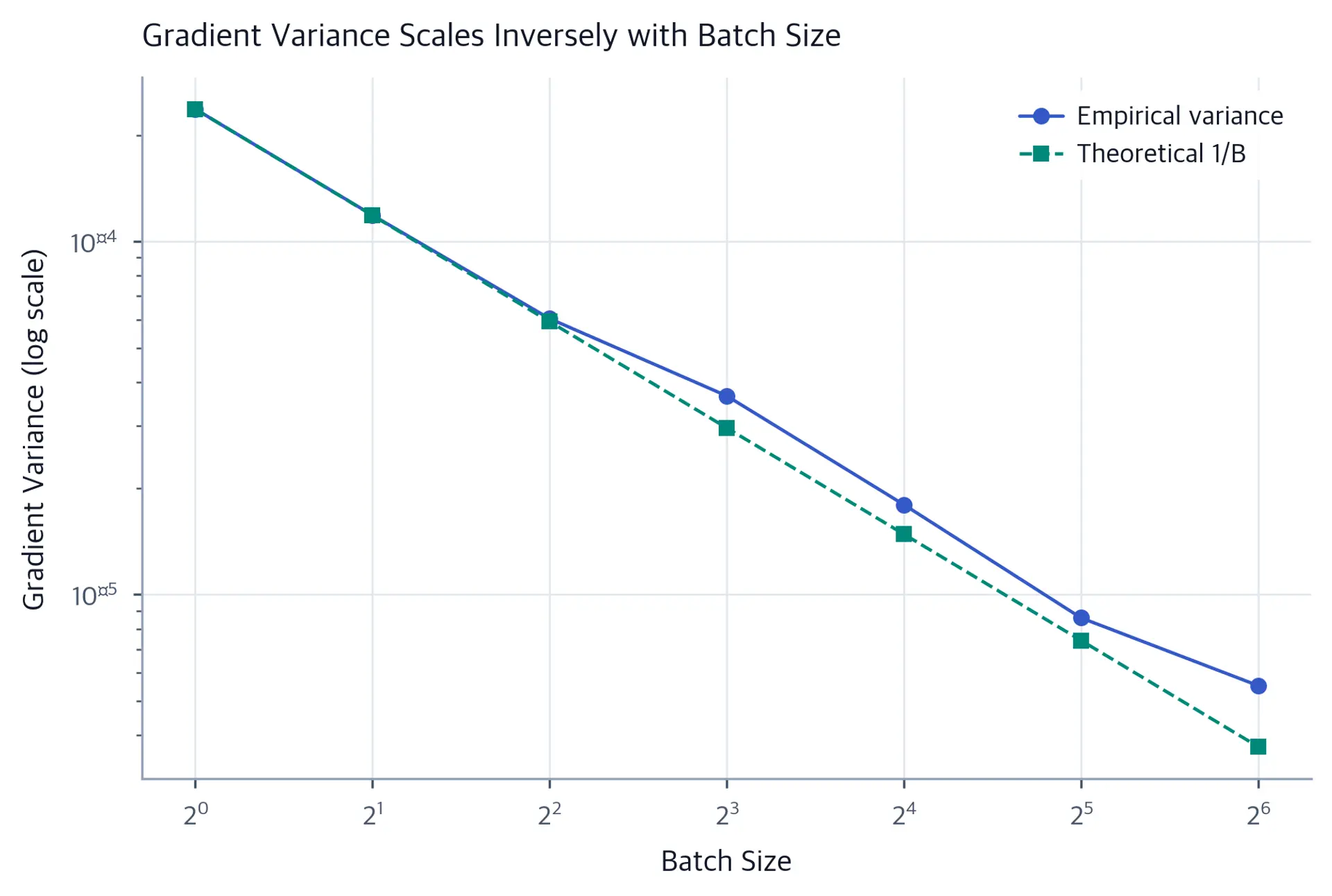 Log-log plot showing gradient variance decreasing inversely with batch size for both empirical and theoretical values.