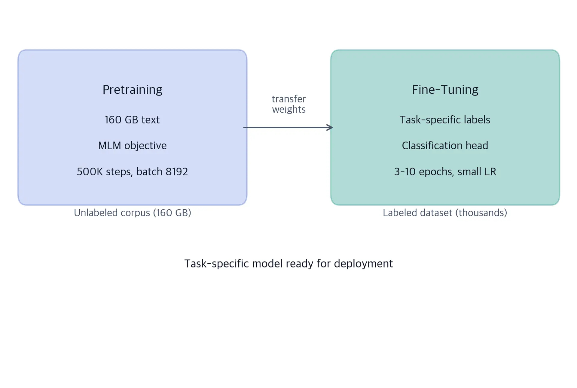 Two-stage pipeline showing pretraining on large unlabeled corpus followed by fine-tuning on small labeled task data.
