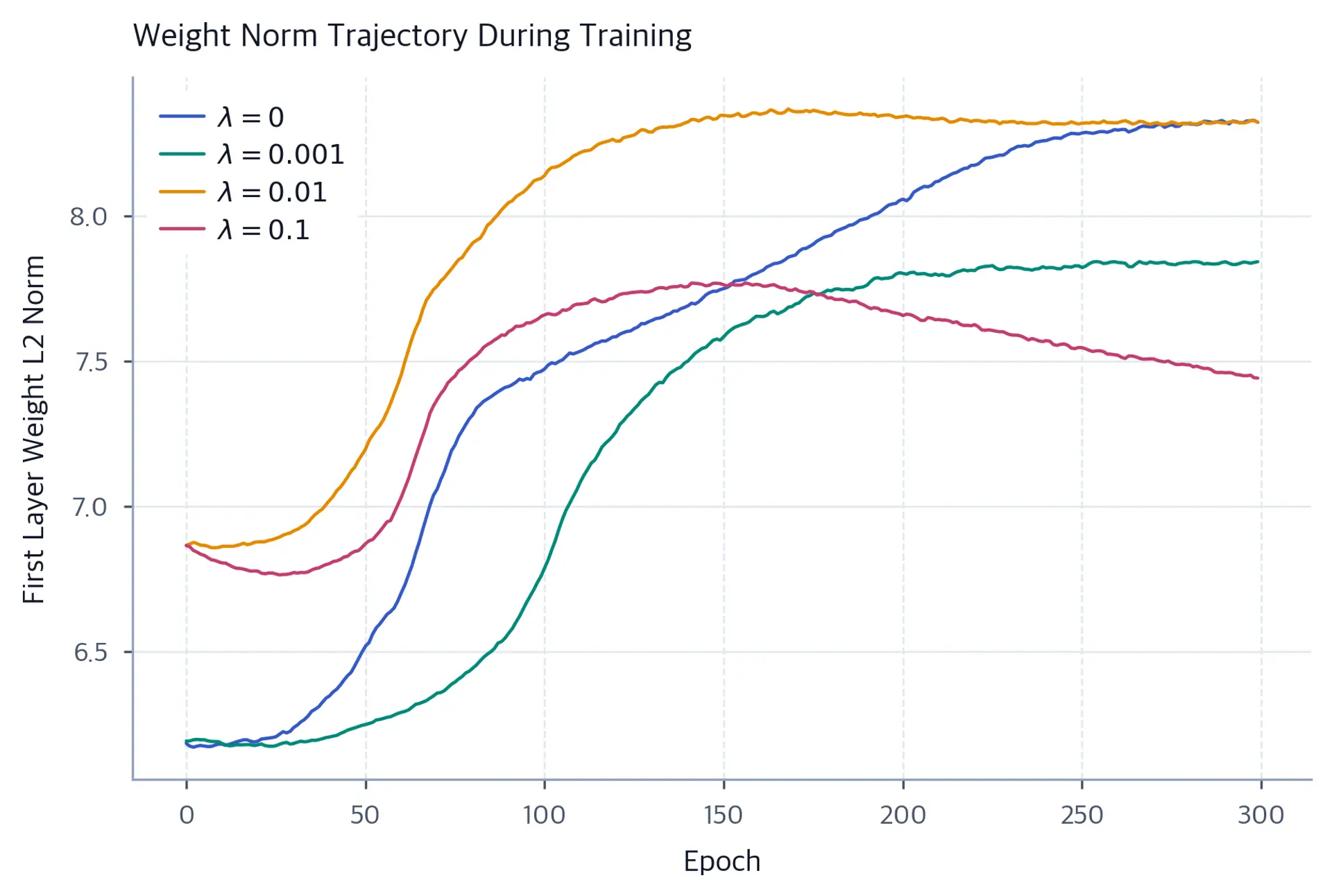 Line plot of first-layer weight norm over 300 epochs for four weight decay values, showing distinct non-monotonic trajectories across independently trained models.