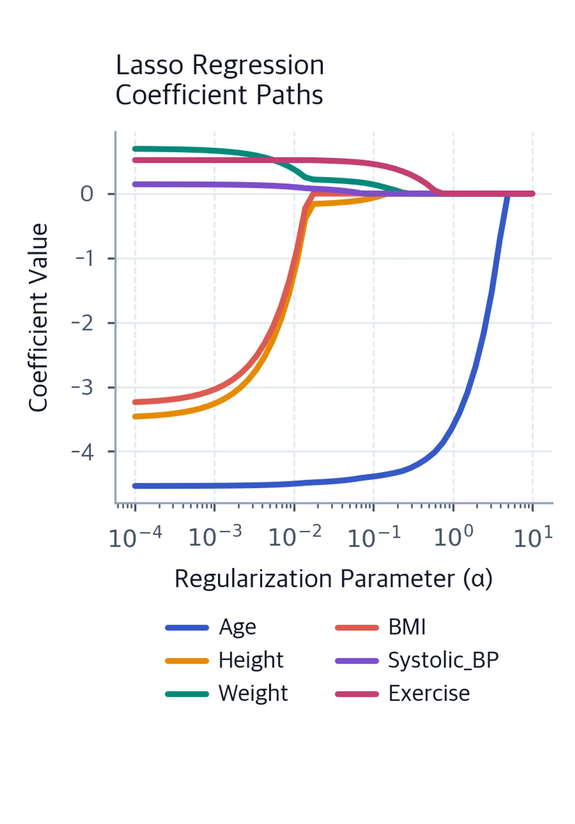 Lasso regression coefficient paths showing how L1 regularization shrinks coefficients to exactly zero for less important variables like height, weight, and BMI.
