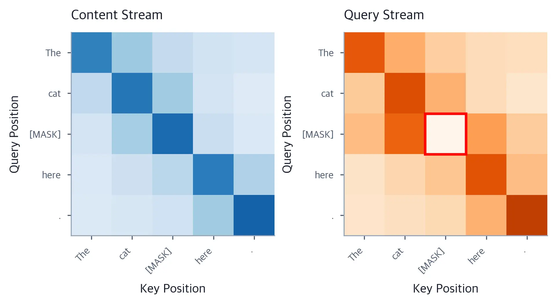 Side-by-side attention heatmaps showing content stream and query stream with masked token self-attention blocked.
