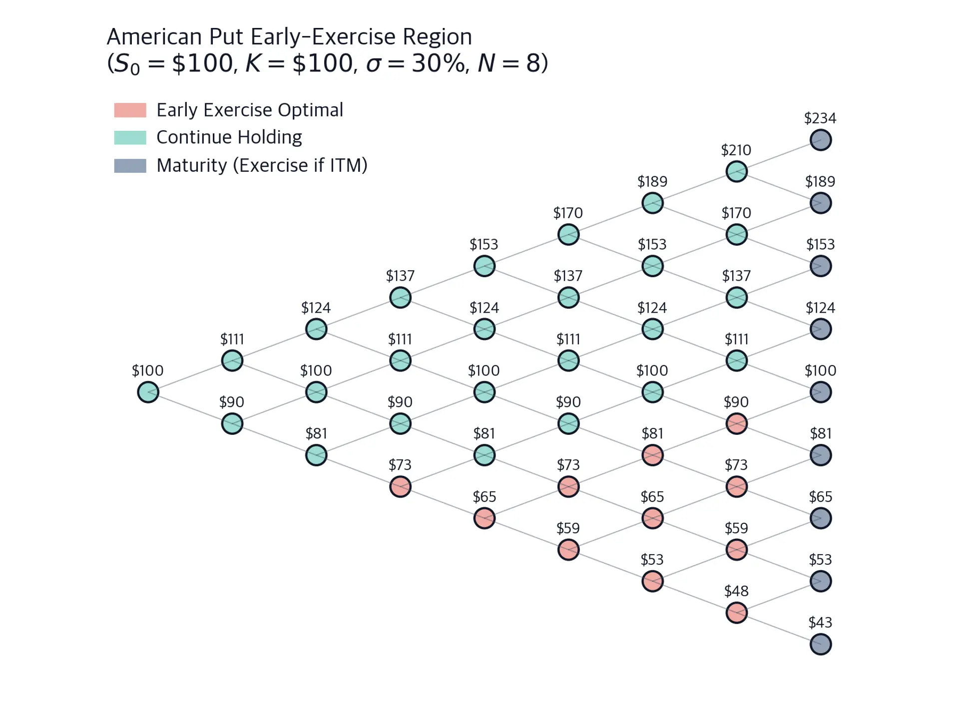 Eight-step American put lattice with labeled stock prices. Exercise nodes cluster along the lower-price branches, continuation nodes occupy the upper region, and neutral nodes form the terminal column at maturity.