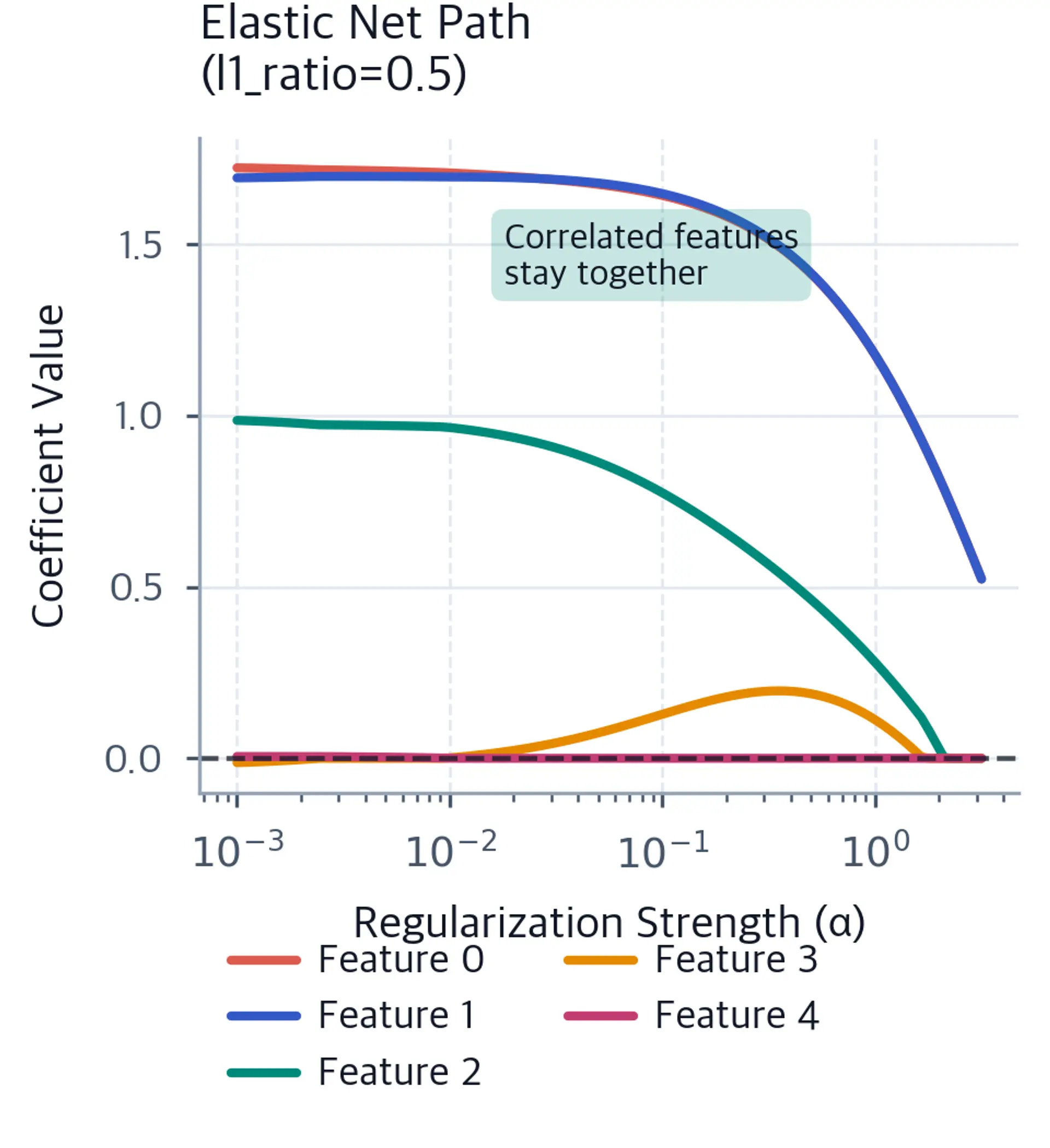Regularization path plot showing Elastic Net coefficient evolution with correlated features grouped together.