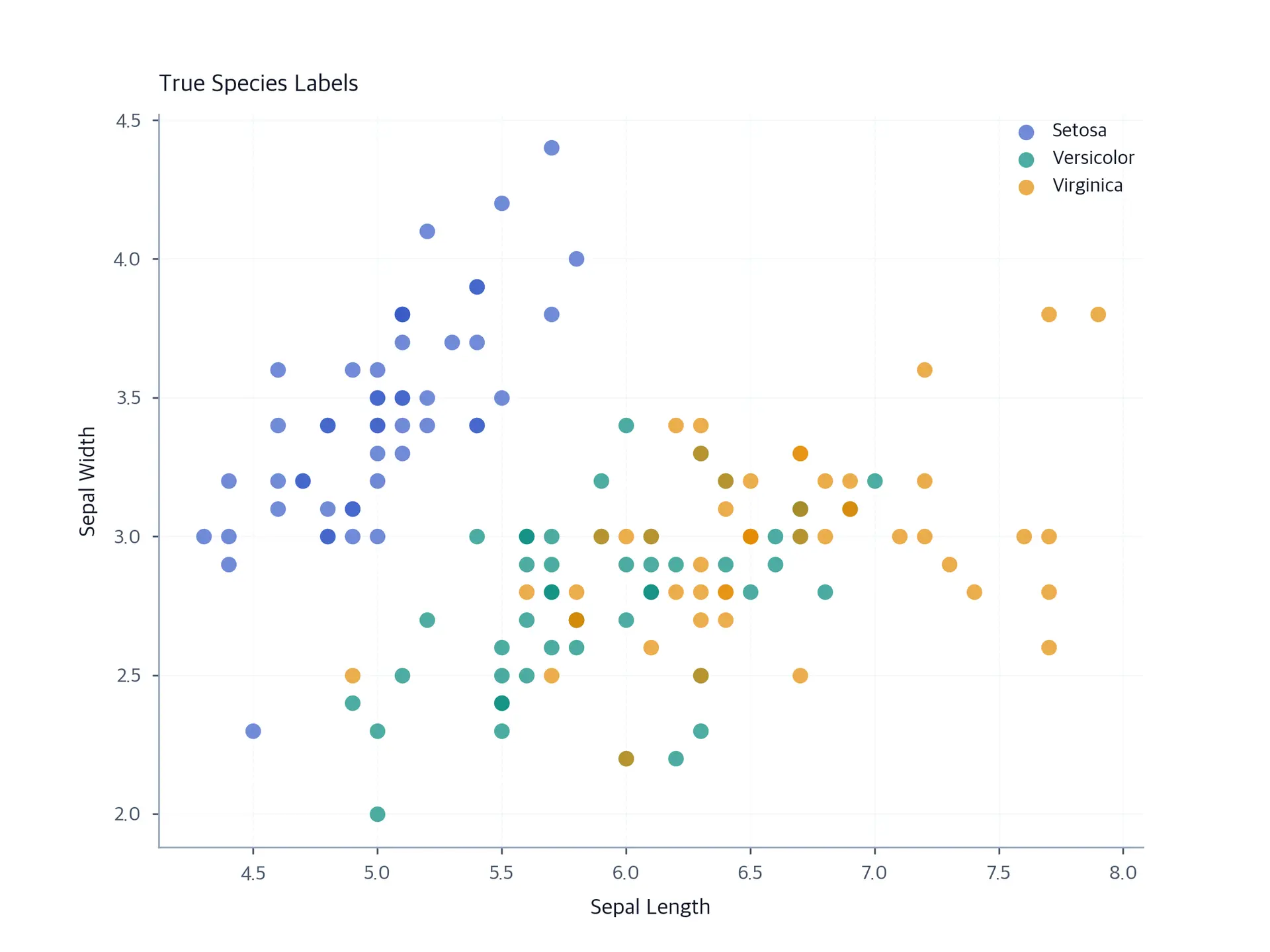 Scatter plot showing true Iris species labels.
