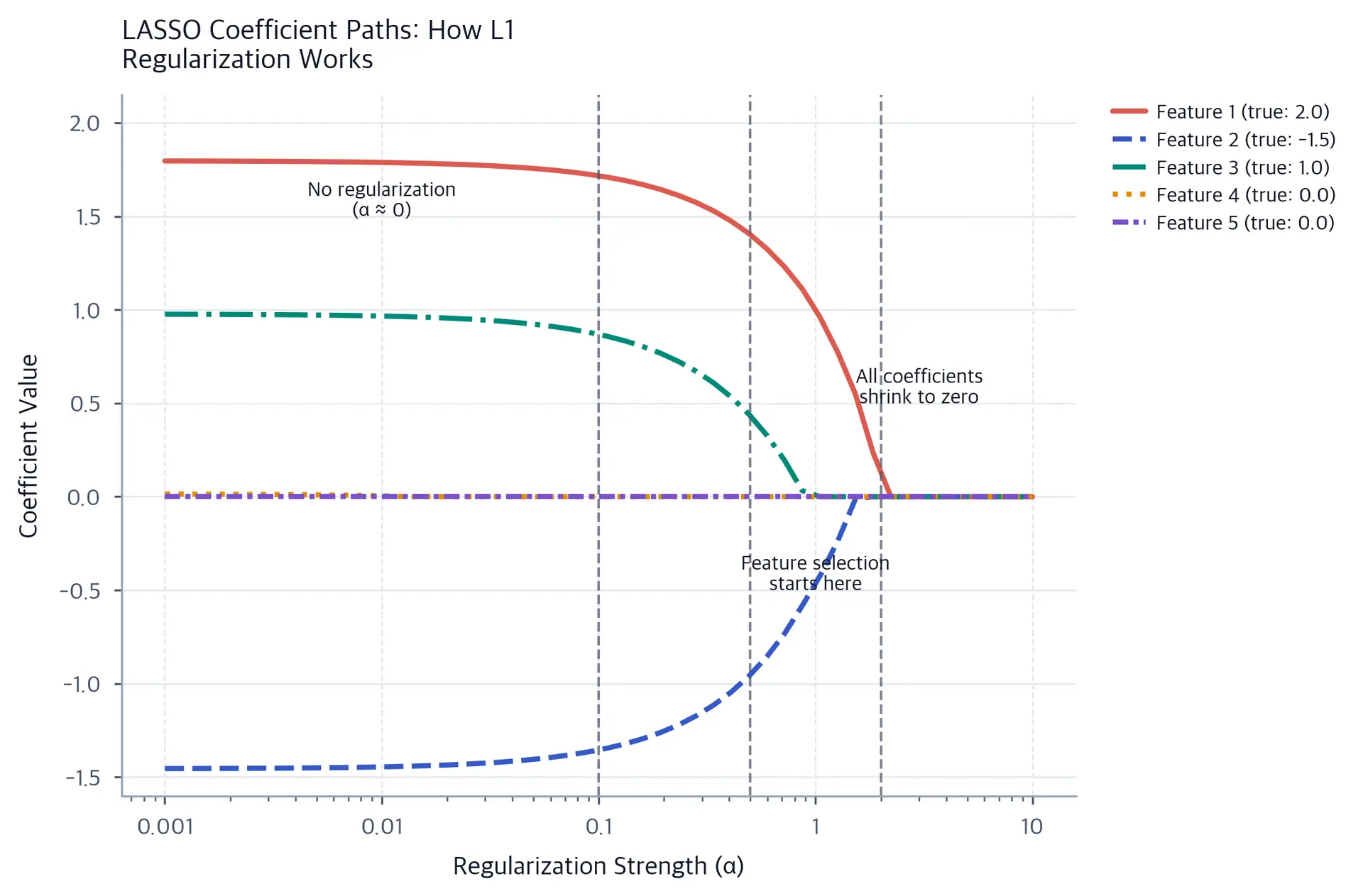 LASSO coefficient paths showing progressive shrinkage of feature coefficients with increasing regularization strength, with important features maintaining non-zero values while irrelevant features reach exactly zero.